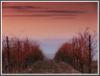 Alain Reynaud - Paysages étonnant du Languedoc