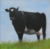 adriennejalbert - Mes Vaches